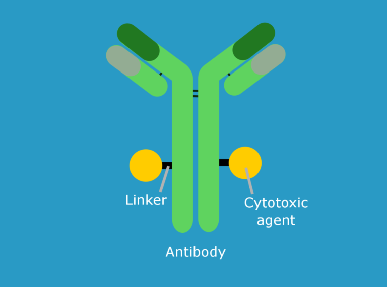 Structure of ADC - ADC Technologies