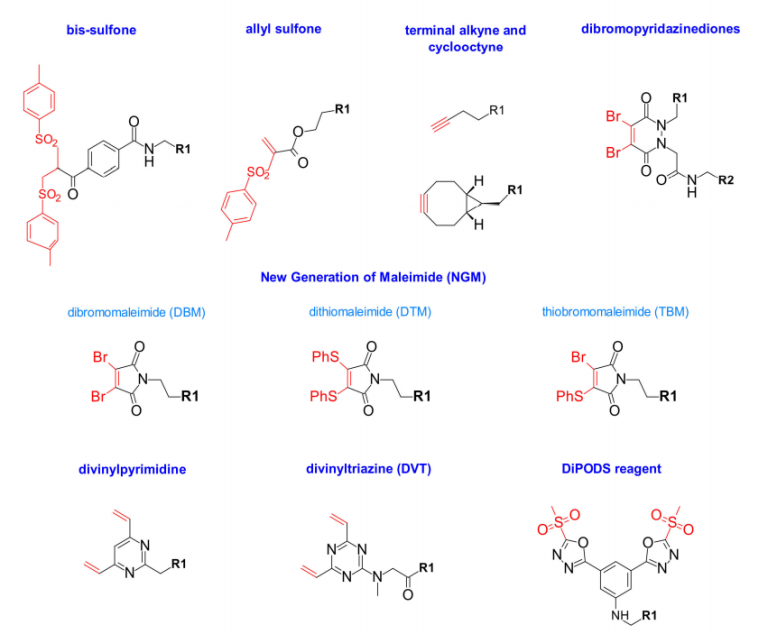 Introduction of ADC Bioconjugation Technology - ADC Technologies