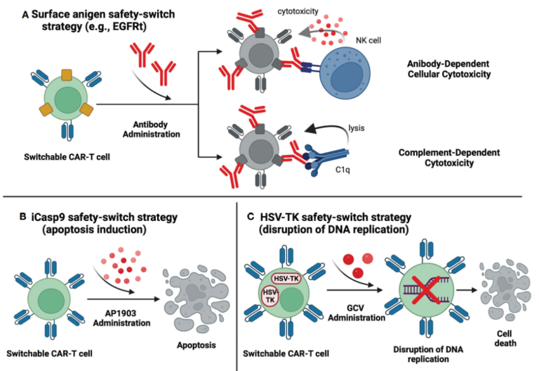 Clinical evaluation of new CAR-T therapy - ADC Technologies